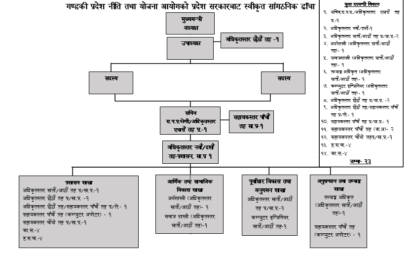 Organizational Structure